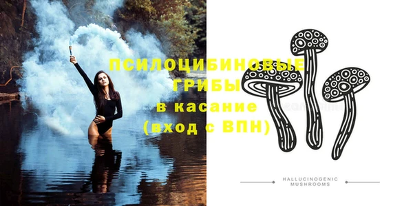 а пвп мука Бородино