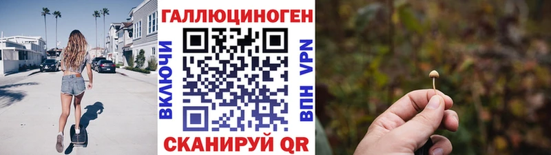 Псилоцибиновые грибы Psilocybine cubensis Абакан